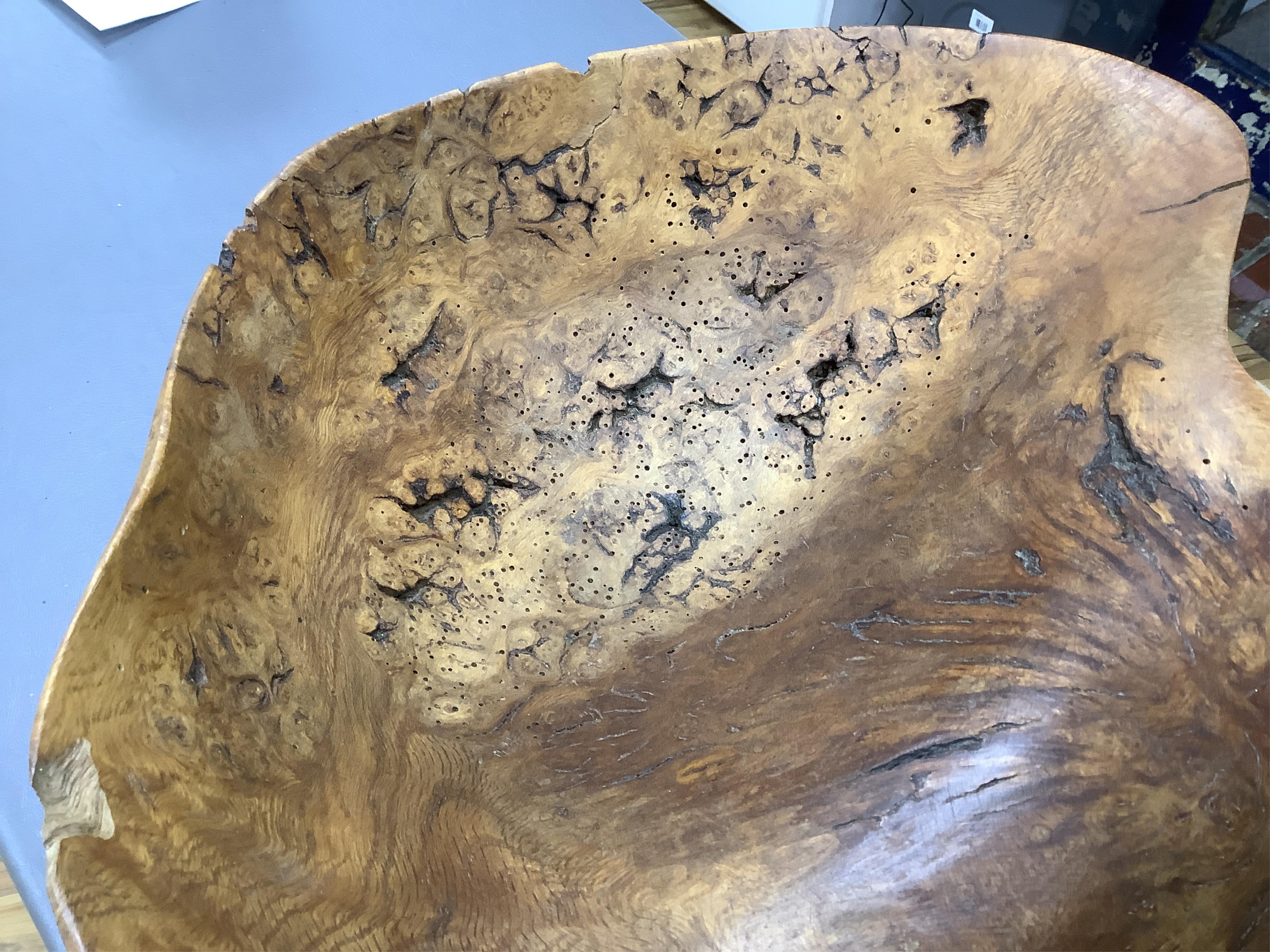 A large free form burr elm fruit bowl or centre dish, 45cm wide